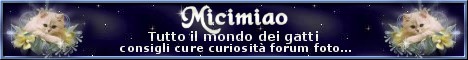 Micimiao banner