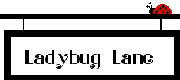 Ladybug Lane