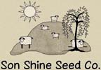 Son Shine Seed