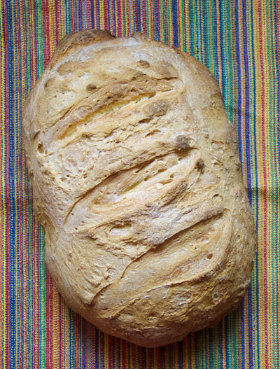 Pane tipo Altamura con lievito madre